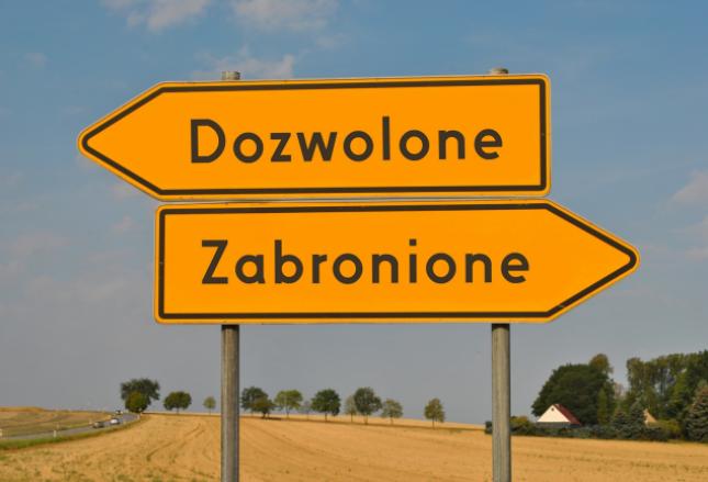 Co zrobić, by Twoje dziecko było bezpieczne na drodze?